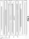 Fig. 09 - Systems and methods to process electronic images to provide blur robustness