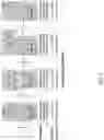 Fig. 03 - PROTON ACTIVATED ATOMIC MEDICINE