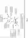 Fig. 05 - PROTON ACTIVATED ATOMIC MEDICINE
