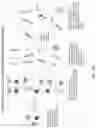 Fig. 06 - PROTON ACTIVATED ATOMIC MEDICINE