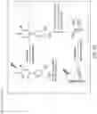 Fig. 07 - PROTON ACTIVATED ATOMIC MEDICINE
