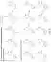 Fig. 11 - PROTON ACTIVATED ATOMIC MEDICINE