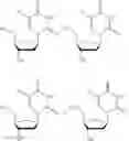 Fig. 22 - PROTON ACTIVATED ATOMIC MEDICINE