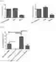 Fig. 03 - TISSUE FOR USE AS ALLOGENEIC OR XENOGENEIC TRANSPLANT AND METHOD FOR ITS PRODUCTION