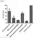 Fig. 04 - TISSUE FOR USE AS ALLOGENEIC OR XENOGENEIC TRANSPLANT AND METHOD FOR ITS PRODUCTION