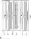 Fig. 10 - GENERATING SYNTHETIC PATIENT HEALTH DATA