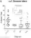 Fig. 01 - METHOD AND SYSTEM OF DIAGNOSING AND TREATING NEURODEGENERATIVE DISEASE AND SEIZURES