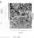 Fig. 03 - METHOD AND SYSTEM OF DIAGNOSING AND TREATING NEURODEGENERATIVE DISEASE AND SEIZURES