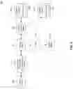Fig. 04 - Non-television experience triggers