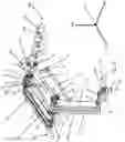 Fig. 12 - Agile robot arm for positioning a tool with controlled orientation