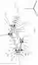 Fig. 21 - Agile robot arm for positioning a tool with controlled orientation