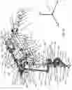 Fig. 35 - Agile robot arm for positioning a tool with controlled orientation