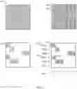 Fig. 06 - IN SITU SPARSE MATRIX EXPANSION