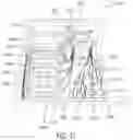 Fig. 12 - TREATMENT EFFICACY PREDICTION SYSTEMS AND METHODS