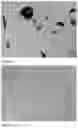 Fig. 04 - POLYCRYSTALLINE DIAMOND CONSTRUCTIONS & METHODS OF MAKING SAME