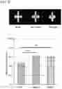 Fig. 11 - REGENERATING FUNCTIONS AND PHENOTYPES OF CONNECTIVE TISSUE THROUGH NPAS2 SUPPRESSION