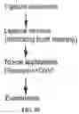 Fig. 22 - REGENERATING FUNCTIONS AND PHENOTYPES OF CONNECTIVE TISSUE THROUGH NPAS2 SUPPRESSION