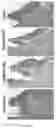 Fig. 23 - REGENERATING FUNCTIONS AND PHENOTYPES OF CONNECTIVE TISSUE THROUGH NPAS2 SUPPRESSION