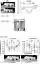 Fig. 40 - REGENERATING FUNCTIONS AND PHENOTYPES OF CONNECTIVE TISSUE THROUGH NPAS2 SUPPRESSION