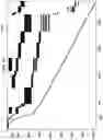 Fig. 11 - Image-based analytics of supply chain optimization problems