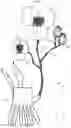 Fig. 02 - Substance introduction method for plant and plant obtained therewith