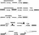 Fig. 01 - METHODS OF POLYPEPTIDE SEQUENCING