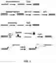 Fig. 05 - METHODS OF POLYPEPTIDE SEQUENCING
