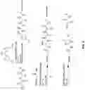 Fig. 06 - METHODS OF POLYPEPTIDE SEQUENCING