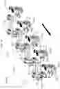Fig. 07 - Link device and stretching machine