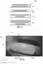 Fig. 09 - METHOD FOR INSPECTING AN OBJECT