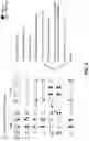 Fig. 05 - Methods and apparatuses for first order field insensitive qubits