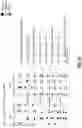 Fig. 10 - Methods and apparatuses for first order field insensitive qubits