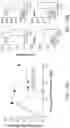 Fig. 20 - PSGL-1 MODULATORS AND USES THEREOF