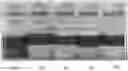 Fig. 01 - Demulsified composition