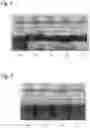 Fig. 02 - Demulsified composition