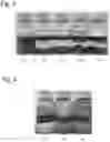 Fig. 03 - Demulsified composition