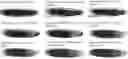 Fig. 01 - CRYOPRESERVED INSECTS AND METHODS FOR PRODUCING SAME