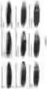 Fig. 02 - CRYOPRESERVED INSECTS AND METHODS FOR PRODUCING SAME