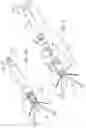 Fig. 03 - Blood pumps