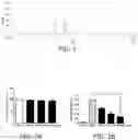Fig. 02 - PHARMACEUTICAL COMPOSITION FOR ALLEVIATING EYE FATIGUE, CONTAINING, AS ACTIVE INGREDIENTS, LUTEOLIN-7-O-DIGLUCURONIDE AND APIGENIN-7-O-DIGLUCURONIDE ISOLATED FROM PERILLA FRUTESCENS (L.) BRITTON VAR. ACUTA (THUNB.) KUDO LEAF EXTRACT