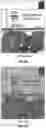 Fig. 13 - Digital glasses having display vision enhancement