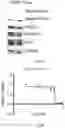 Fig. 02 - Tricyclic Modulators of PP2A