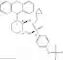 Fig. 261 - Tricyclic Modulators of PP2A