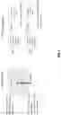 Fig. 02 - SPATIALLY CONTROLLED FUNCTIONALITY OF POLYMERIC PRODUCTS