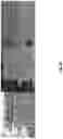 Fig. 35 - SPATIALLY CONTROLLED FUNCTIONALITY OF POLYMERIC PRODUCTS