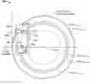 Fig. 01 - Systems and methods for controlling speed differential of wheels of a vehicle