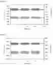 Fig. 02 - METHOD FOR ANALYZING ELECTRIC SIGNAL OF TRIBOELECTRIC POWER GENERATING DEVICE
