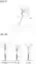 Fig. 09 - DEVICE FOR MOBILIZING THE HUMAN OSTEO-MUSCULOTENDINOUS SYSTEM