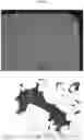 Fig. 02 - GRADIENT CEMENTED CARBIDE WITH ALTERNATIVE BINDER