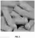 Fig. 02 - VEGETABLE-BASED FOOD PRODUCTS AND METHODS OF MANUFACTURE THEREOF